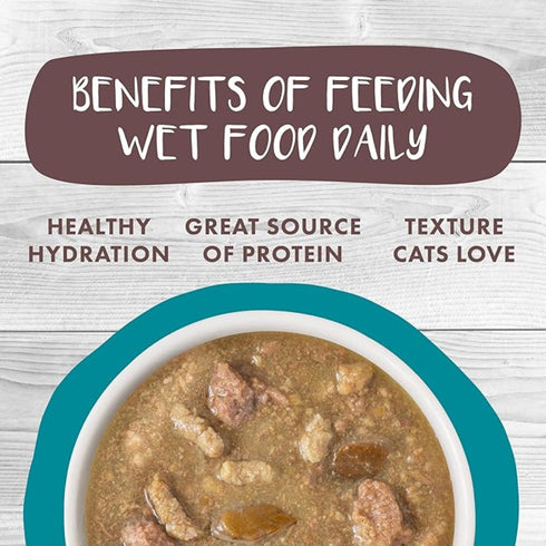 Weruva Turkey, Chicken & Salmon Dinner in Gravy Wet Cat Food, 2.8oz